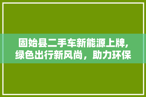 固始县二手车新能源上牌,绿色出行新风尚，助力环保发展