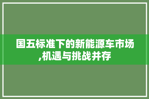 国五标准下的新能源车市场,机遇与挑战并存