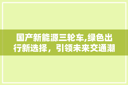 国产新能源三轮车,绿色出行新选择，引领未来交通潮流