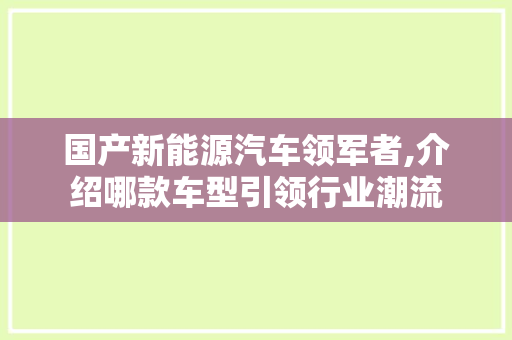 国产新能源汽车领军者,介绍哪款车型引领行业潮流