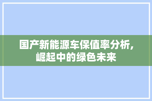国产新能源车保值率分析,崛起中的绿色未来