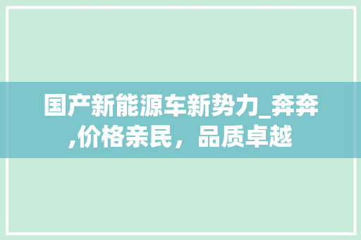 国产新能源车新势力_奔奔,价格亲民，品质卓越