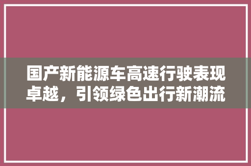 国产新能源车高速行驶表现卓越，引领绿色出行新潮流