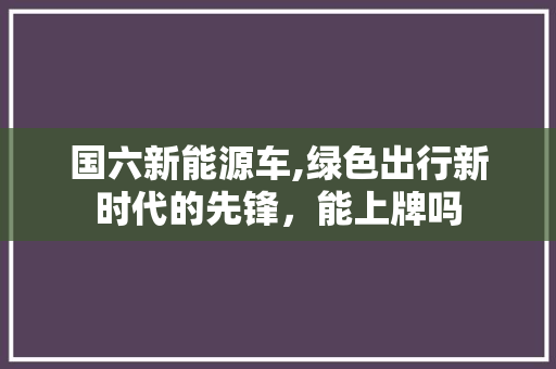 国六新能源车,绿色出行新时代的先锋，能上牌吗