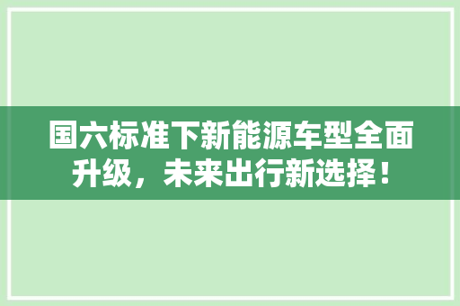 国六标准下新能源车型全面升级，未来出行新选择！