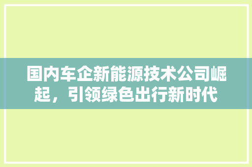 国内车企新能源技术公司崛起，引领绿色出行新时代