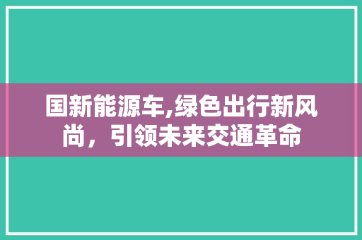 国新能源车,绿色出行新风尚，引领未来交通革命