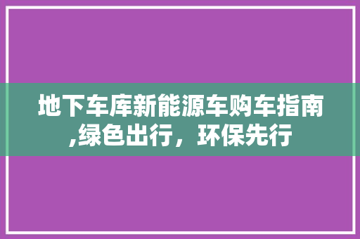 地下车库新能源车购车指南,绿色出行，环保先行