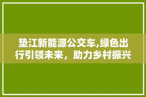 垫江新能源公交车,绿色出行引领未来，助力乡村振兴