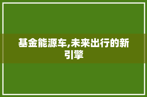 基金能源车,未来出行的新引擎