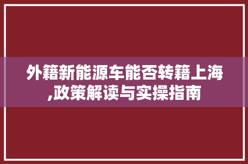 外籍新能源车能否转籍上海,政策解读与实操指南