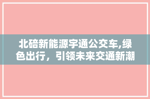 北碚新能源宇通公交车,绿色出行，引领未来交通新潮流