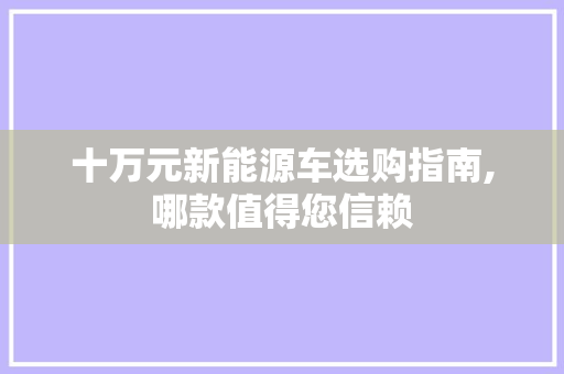 十万元新能源车选购指南,哪款值得您信赖