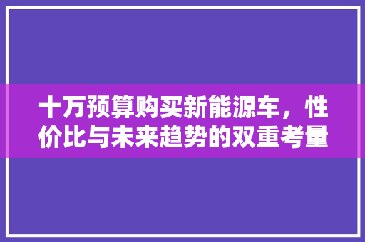 十万预算购买新能源车，性价比与未来趋势的双重考量