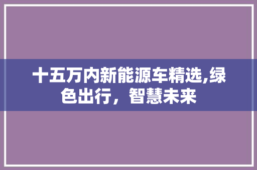十五万内新能源车精选,绿色出行，智慧未来