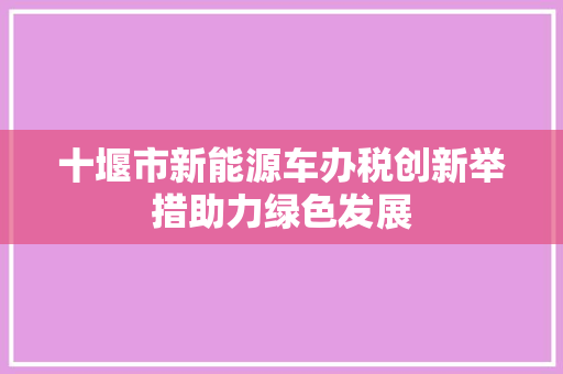 十堰市新能源车办税创新举措助力绿色发展