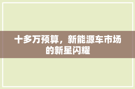 十多万预算，新能源车市场的新星闪耀