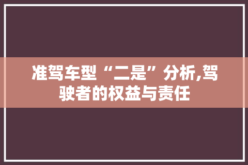 准驾车型“二是”分析,驾驶者的权益与责任