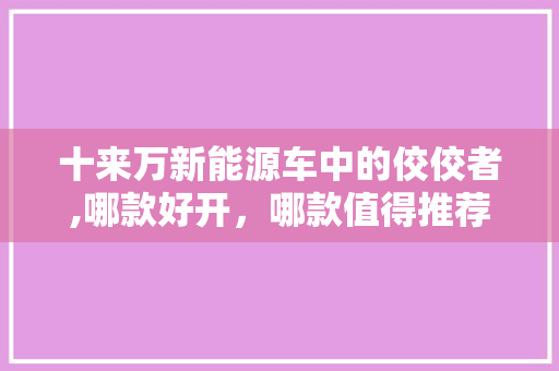 十来万新能源车中的佼佼者,哪款好开，哪款值得推荐