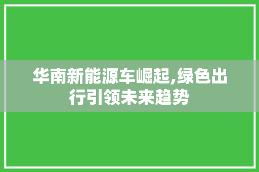 华南新能源车崛起,绿色出行引领未来趋势