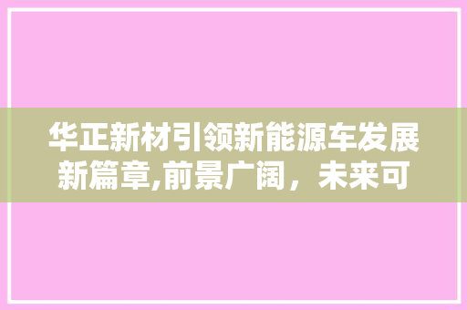 华正新材引领新能源车发展新篇章,前景广阔，未来可期