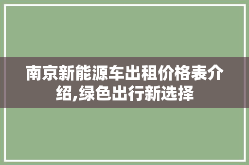 南京新能源车出租价格表介绍,绿色出行新选择