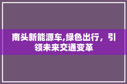 南头新能源车,绿色出行，引领未来交通变革