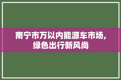 南宁市万以内能源车市场,绿色出行新风尚