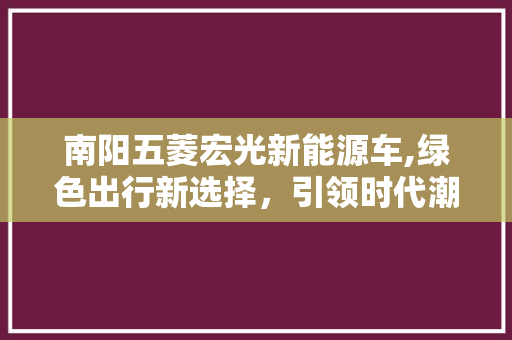 南阳五菱宏光新能源车,绿色出行新选择，引领时代潮流