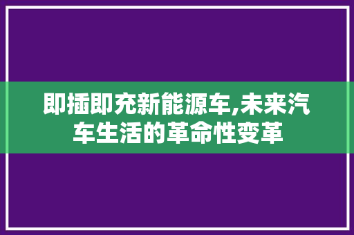 即插即充新能源车,未来汽车生活的革命性变革