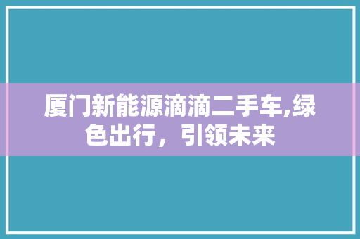 厦门新能源滴滴二手车,绿色出行，引领未来