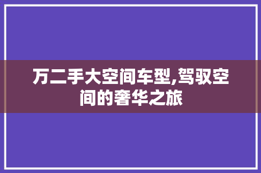 万二手大空间车型,驾驭空间的奢华之旅