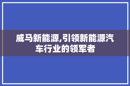 威马新能源,引领新能源汽车行业的领军者
