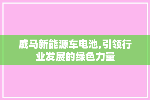 威马新能源车电池,引领行业发展的绿色力量