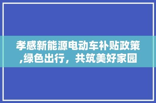 孝感新能源电动车补贴政策,绿色出行，共筑美好家园