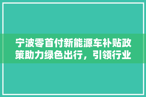宁波零首付新能源车补贴政策助力绿色出行，引领行业发展新潮流