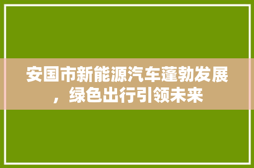 安国市新能源汽车蓬勃发展，绿色出行引领未来