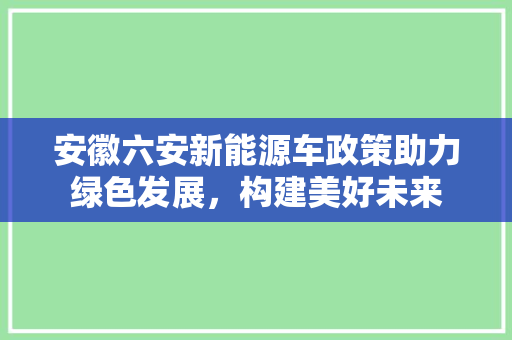 安徽六安新能源车政策助力绿色发展，构建美好未来