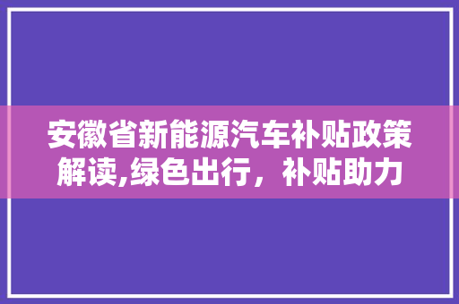 安徽省新能源汽车补贴政策解读,绿色出行，补贴助力
