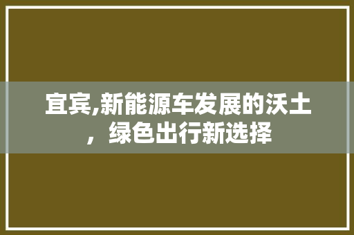 宜宾,新能源车发展的沃土，绿色出行新选择