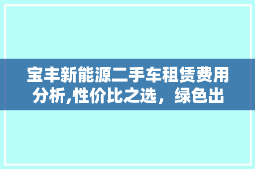 宝丰新能源二手车租赁费用分析,性价比之选，绿色出行新风尚