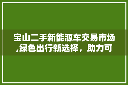 宝山二手新能源车交易市场,绿色出行新选择，助力可持续发展