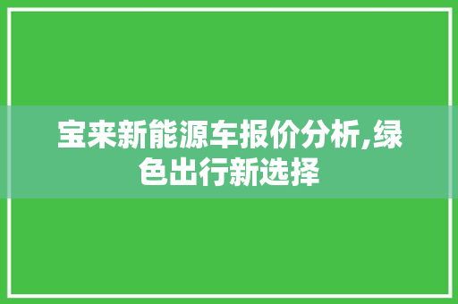宝来新能源车报价分析,绿色出行新选择