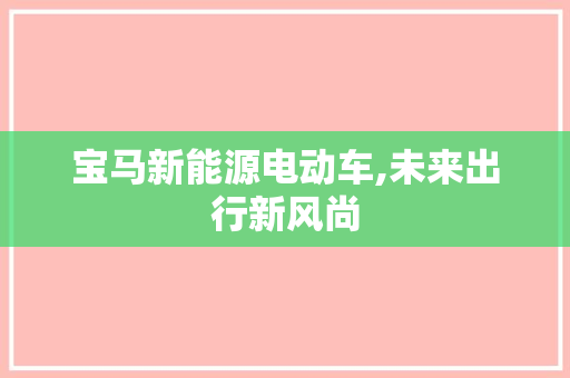 宝马新能源电动车,未来出行新风尚