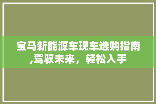 宝马新能源车现车选购指南,驾驭未来，轻松入手