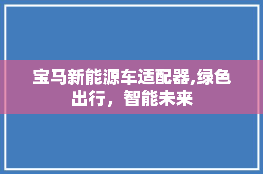 宝马新能源车适配器,绿色出行，智能未来