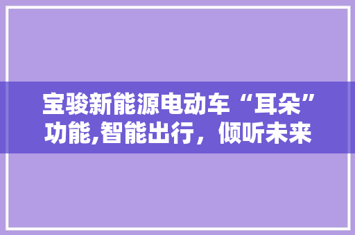 宝骏新能源电动车“耳朵”功能,智能出行，倾听未来