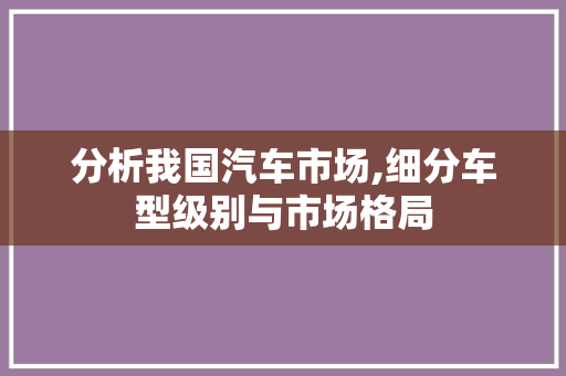 分析我国汽车市场,细分车型级别与市场格局