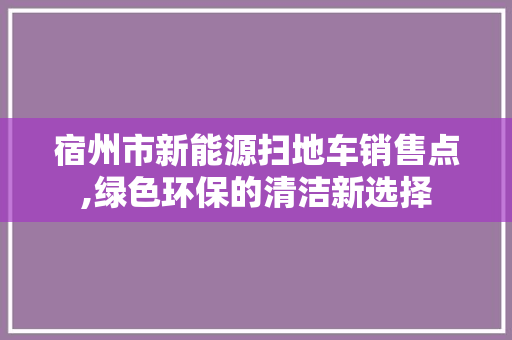 宿州市新能源扫地车销售点,绿色环保的清洁新选择