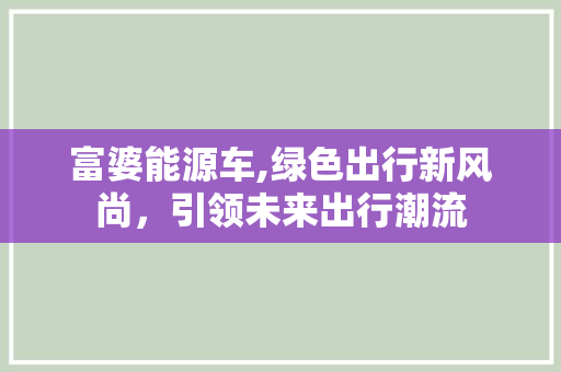富婆能源车,绿色出行新风尚，引领未来出行潮流